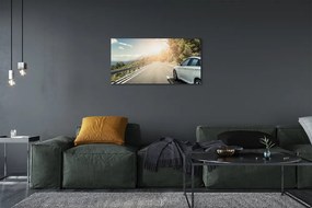 Obraz canvas Hory mraky auto cesty strom 120x60 cm