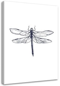 Obraz na plátně Vážka Hmyz Příroda - 60x90 cm