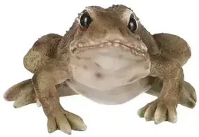 Žaba z polyresinu 14cm
