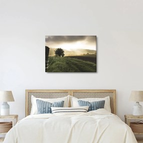 Obraz lúky (70x50 cm)