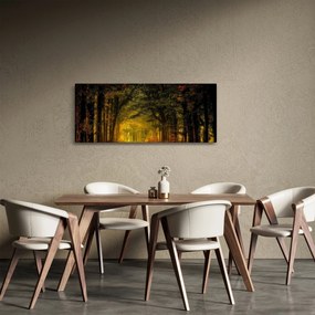 Obraz lesu (120x50 cm)