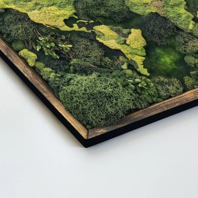 DUBLEZ | Machová imitácia mapy sveta - Obraz