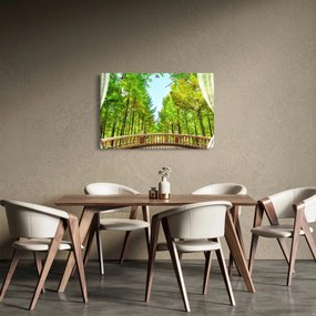 Obraz - Výhľad na les (90x60 cm)