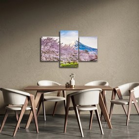 Obraz - Japonsko na jar (90x60 cm)