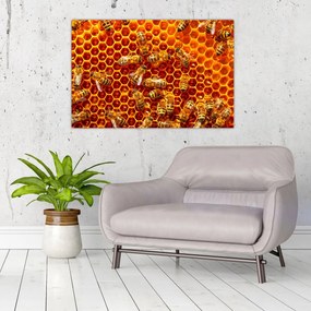 Obraz - Medový plást (90x60 cm)