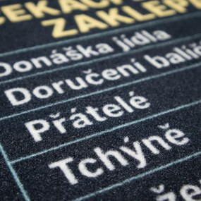 Mercury Flooring, Rohožka Čakacia doba 40x60 cm - na von aj na doma, 40x60, čierna
