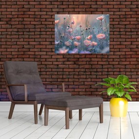 Obraz - Kvety v pastelových farbách (70x50 cm)