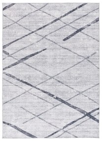 Svetlosivý koberec 200x290 cm Class – Universal