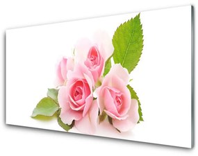 Obraz plexi Ruže kvety príroda 140x70 cm