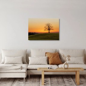 Sklenený obraz západu slnka na lúke (70x50 cm)