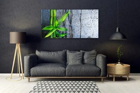 Obraz plexi Bambus list rastlina príroda 120x60 cm