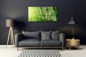 Obraz na akrylátovom skle Bambus stonky rastlina 100x50 cm