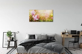 Obraz canvas Magnólia strom slnko 125x50 cm