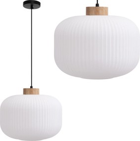 Toolight Toolight, stropné svietidlo zo skla 1xE27, biela, OSW-04412