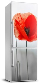 Nálepka fototapety na chladničku Poľný mak FridgeStick-70x190-f-142912559