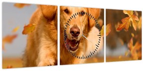Obraz - Zlatý retriever (s hodinami) (90x30 cm)