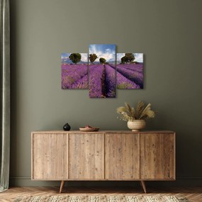 Obraz - Levanduľové pole a hory (90x60 cm)