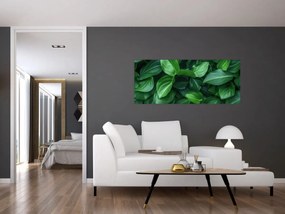 Obraz - Zelené listy (120x50 cm)