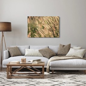 Obraz - Obilie (90x60 cm)