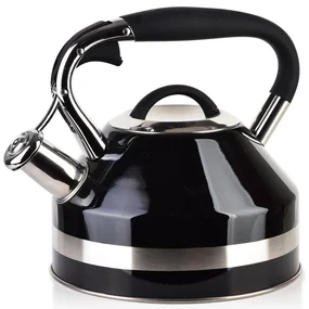 Kovová čajová kanvica Georg Black 2l