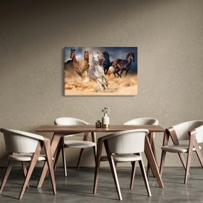 Obraz - Kone v púšti (90x60 cm)