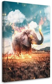 Gario Obraz na plátne Slon v plameňoch - Alex Griffith Rozmery: 40 x 60 cm