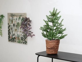 Kvetináč z morskej trávy SEAGRASS BASKET 20 cm
