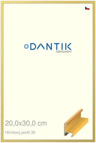 DANTIK rám na obraz 20x30 | ALU Dýha barevná žlutá (Sklo Čiré)