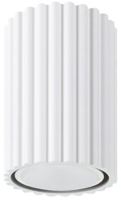 Stropné svietidlo Karbon, 1x biele kovové tienidlo, (10 cm)