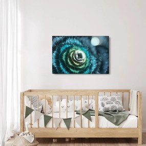 Obraz - Kvet v detaile (90x60 cm)