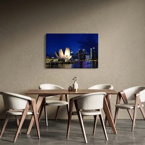 Obraz nočného Singapuru (90x60 cm)