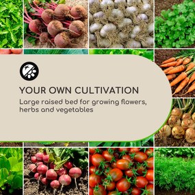 Blumfeldt Blum High Grow Straight, vyvýšený záhon, 200x90x100cm, 1800l, oceľ