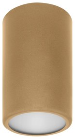 Bodové svietidlo CLEO 1xE27/24W/230V zlatá