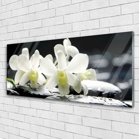 Obraz plexi Kamene kvety orchidea 125x50 cm