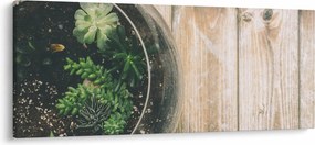 Obraz sukulentov v skle (120x50 cm)