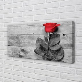 Obraz canvas Rose 120x60 cm