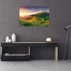 Obraz - Letná krajina (90x60 cm)