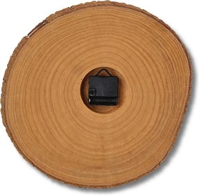 Nástenné hodiny z kmeňu stromu s originálnou kôrou  | KOTO: Amber - 3072 26-29 cm 4815-115591 KOR008-29-AMBER