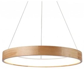 Azzardo AZ2699 - LED Luster na lanku SILVAM 1xLED/50W/230V