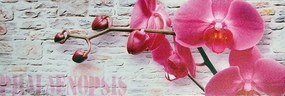 Obraz na plátne 30x90cm RUŽOVÁ ORCHIDEA ružovo-šedý