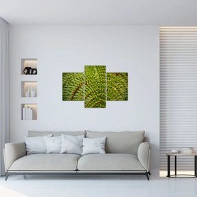 Obraz - Papraď (90x60 cm)