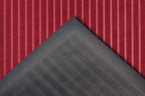 Hanse Home Collection koberce Rohožka Mix Mats Striped 105649 Red - 80x120 cm