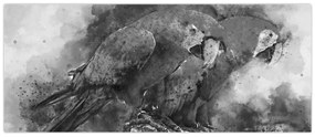 Obraz - Akvareloví papagáje (120x50 cm)