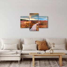 Obraz - Jesenná cesta krajinou (90x60 cm)