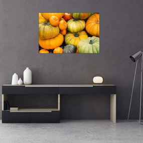 Obraz - Jesenná tekvica (90x60 cm)