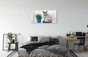 Obraz na plátne sediaci mačka 140x70 cm