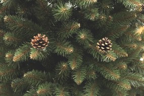 Vianočný stromček Smrek horský so šiškou 240 cm