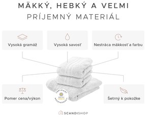 Uterák Classic 50 x 100 cm svetlozelený, 100% bavlna