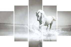 Obraz - Biely kôň (150x105 cm)