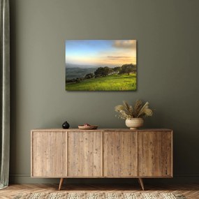 Obraz - Výhľad z kopca (70x50 cm)